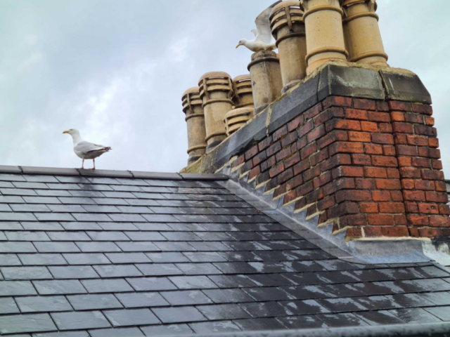 Roofing Project Northumberland Roofing Project